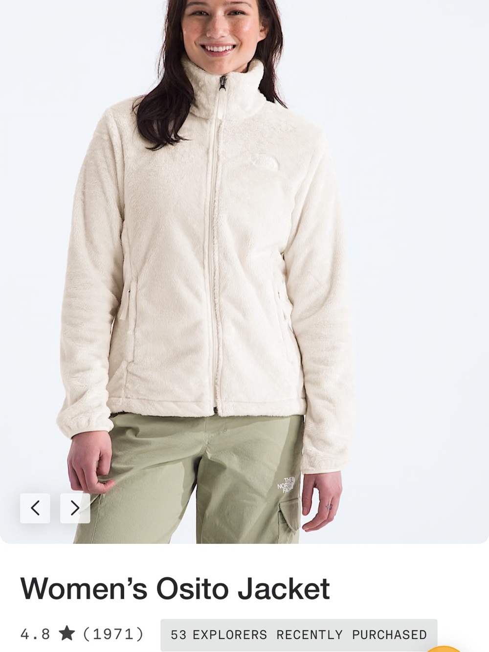 North Face Osito Faux fur jacket
